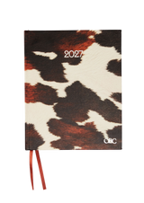 2027 Daily Diary