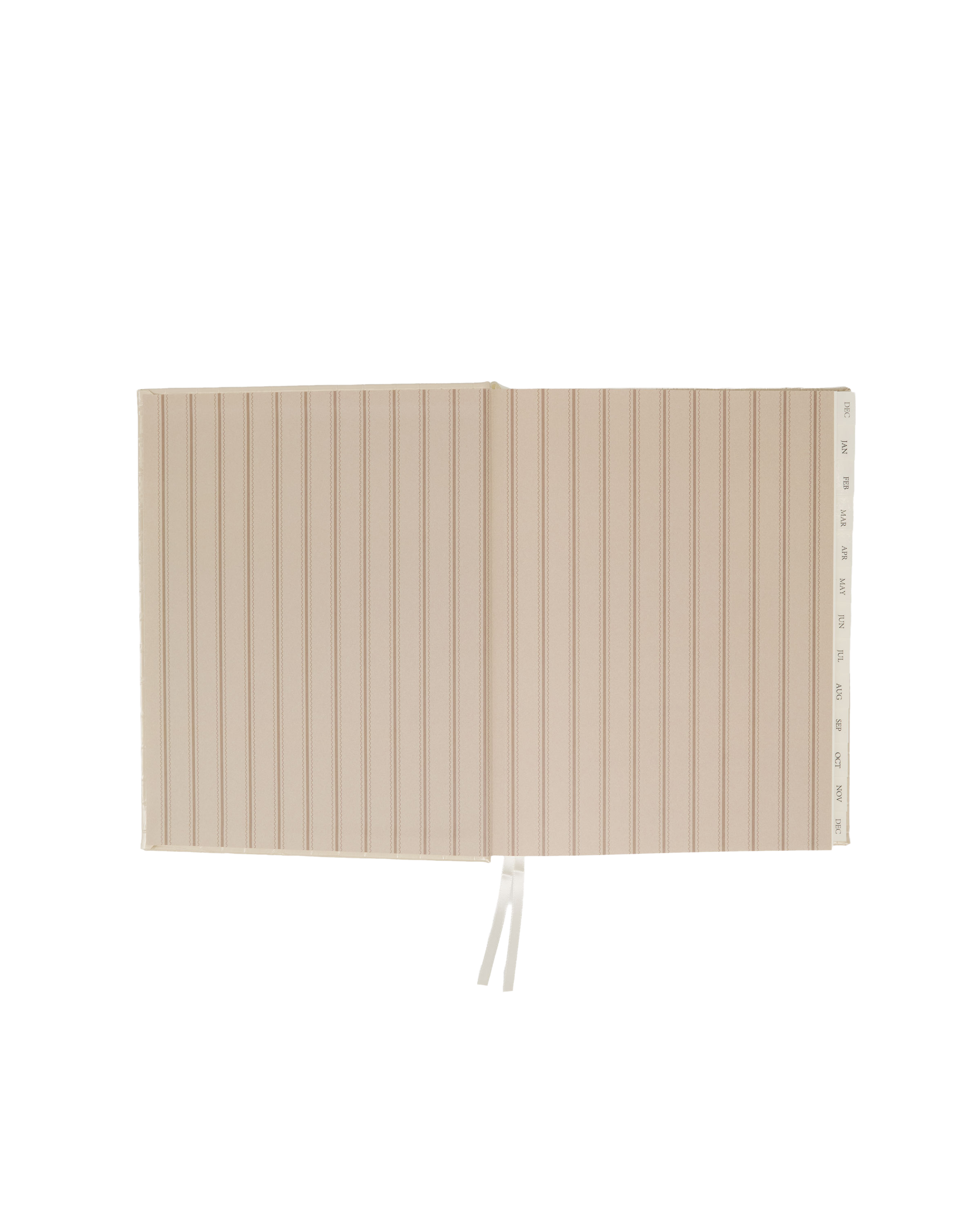 2027 Daily Diary in Cream Croc