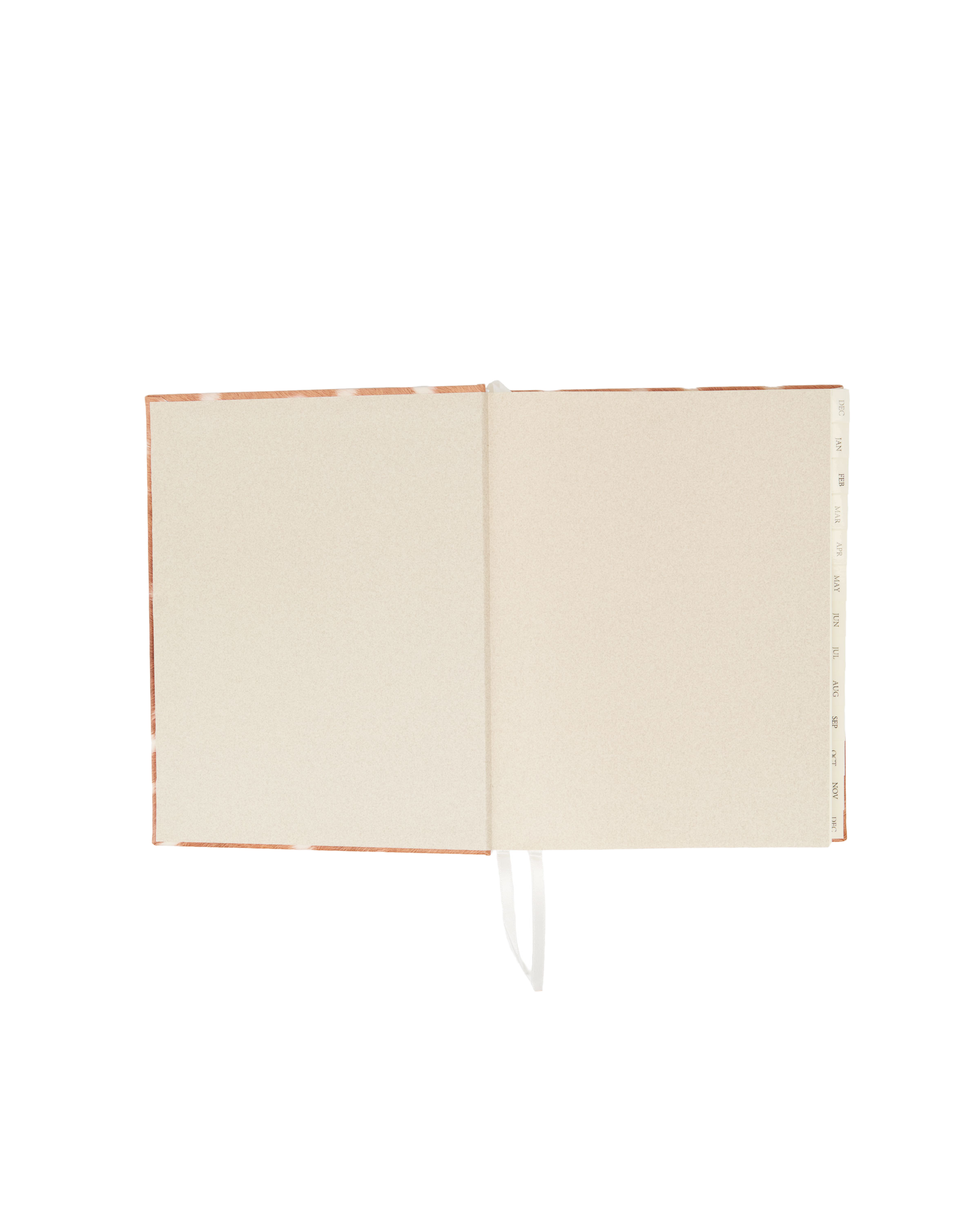 2027 Daily Diary in Deer