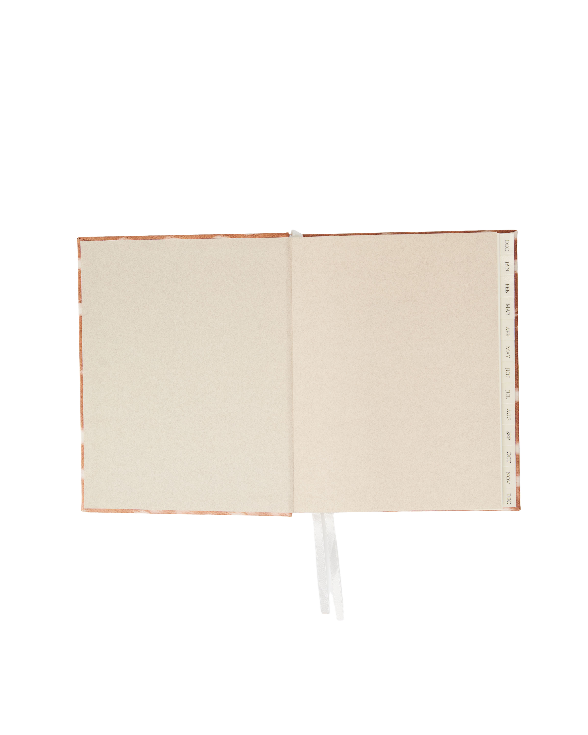 2027 Weekly Diary Bundle in Deer
